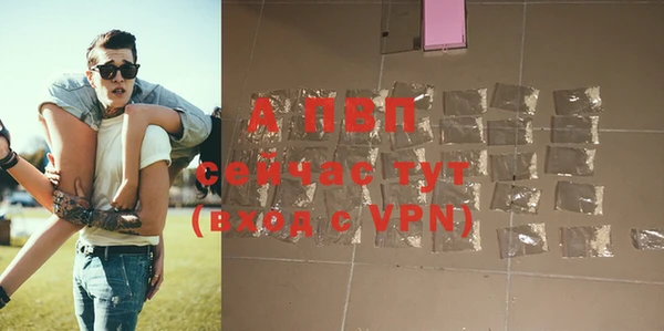 стафф Богородицк