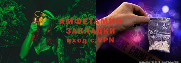 индика Богданович