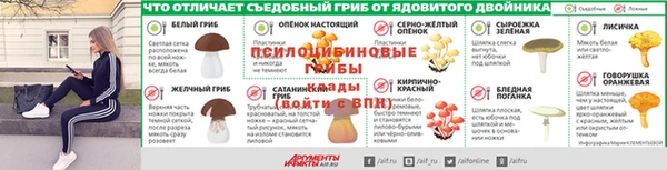 стафф Богородицк