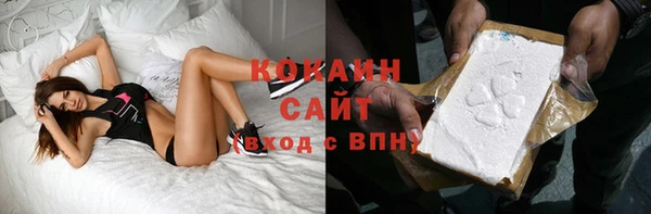 индика Богданович