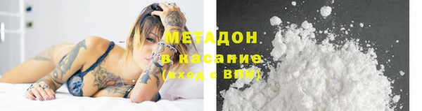 индика Богданович