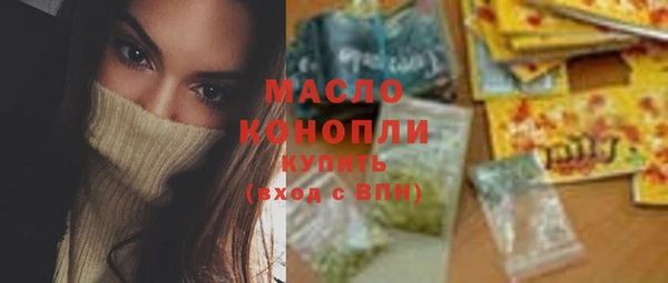 индика Богданович