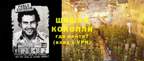 индика Богданович