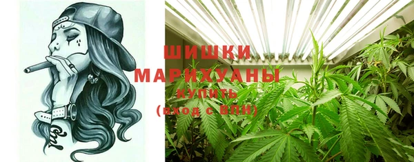 индика Богданович