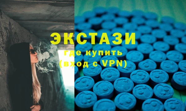 индика Богданович