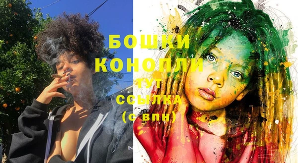 индика Богданович