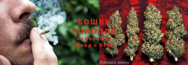 стафф Богородицк