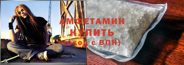 индика Богданович