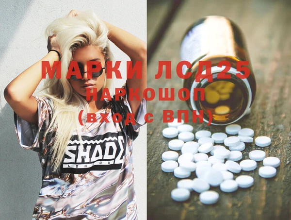 индика Богданович