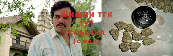 индика Богданович