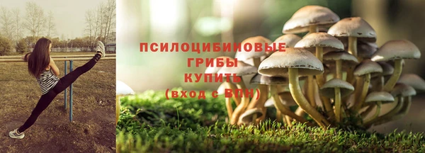 стафф Богородицк