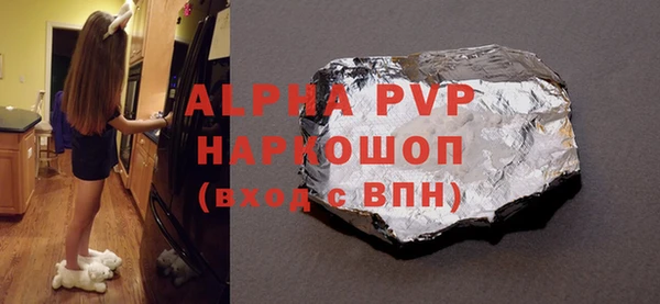 индика Богданович