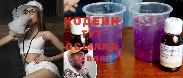 индика Богданович