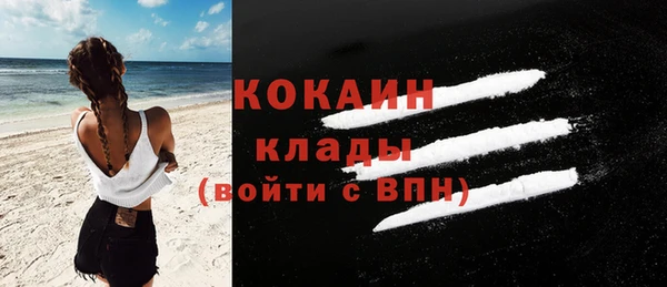 индика Богданович