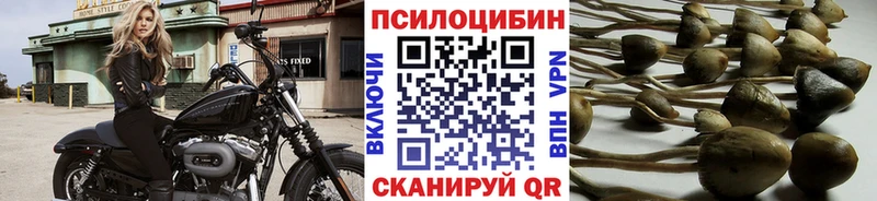 Галлюциногенные грибы Psilocybine cubensis  Купить  Верхний Тагил 